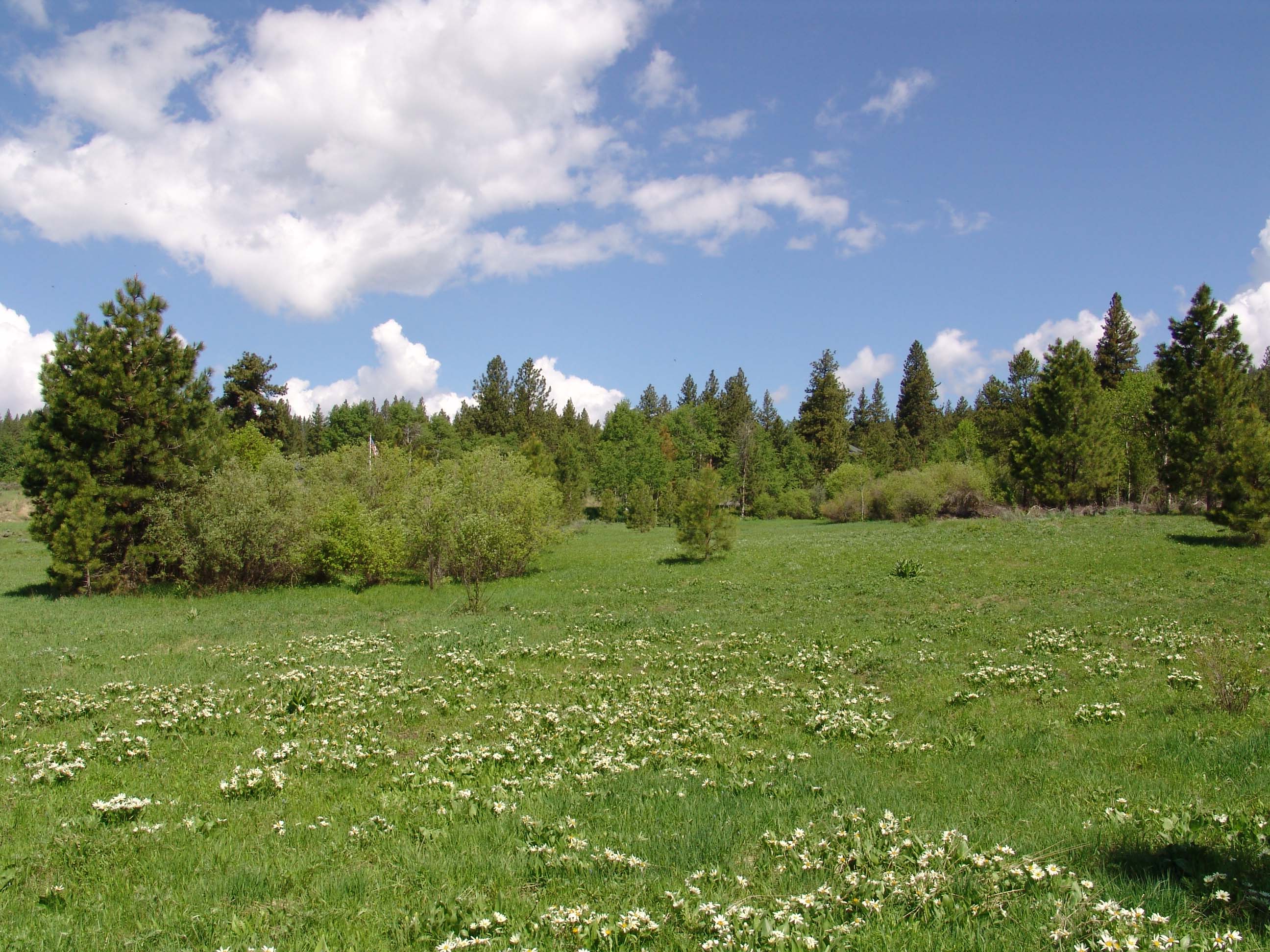 Cascade Lake Realty Eagle Nest Area